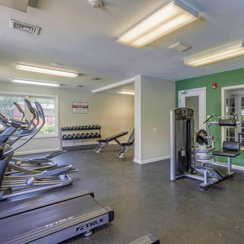 Fully equipped fitness center with free weights, weight machines, treadmills and other exercise machines.