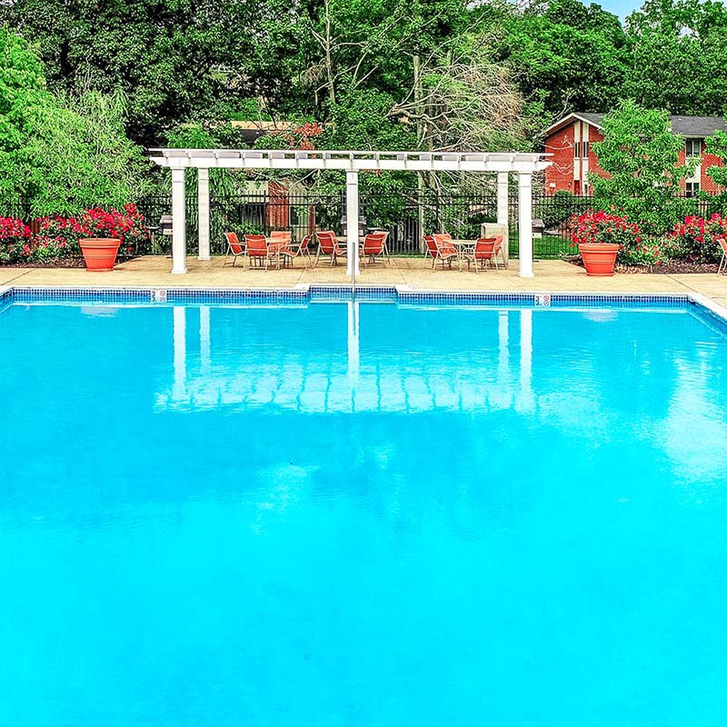 Fenced-in swimming pool with pergola, tables and chairs, near lots of trees.